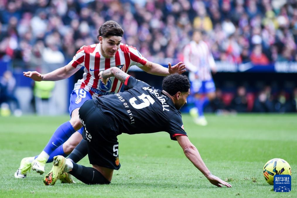 认识下一个姚明